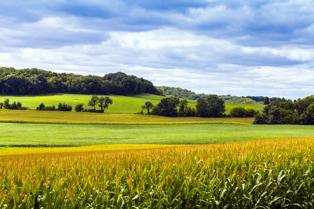 Agriculture 2